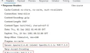 隐藏 Apache 版本号和其它敏感信息,在 HTTP 头中隐藏 PHP 版本号