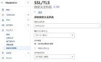 CloudFlare免费CDN加速通过CNAME和IP方式接入(无需修改NS),让CF变的适合国内使用,避免国内访问被墙
