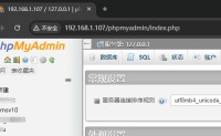 修改XAMPP phpMyAdmin配置,提升安全性防范暴力破解MySQL