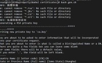 制作Apache免费自签名SSL证书,配置Apache反向代理开启后端服务器https证书验证