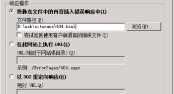 IIS如何配置404